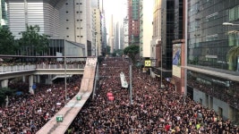 2 Million Peaceful Protesters Marching 스톡 동영상 비디오(100% 로열티 프리) 1035553193 | Shutterstock