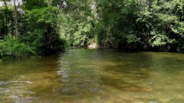 Mountain River with Stones. Fast 스톡 동영상 비디오(100% 로열티 프리) 1035599567 | Shutterstock