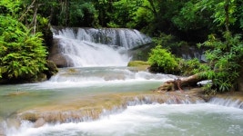 Beautiful Nature Footage of Huay 스톡 동영상 비디오(100% 로열티 프리) 1035828059 | Shutterstock