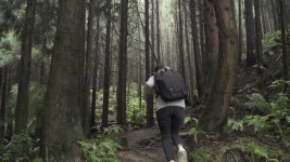 photographer girl hiking forest 4k adventure 스톡 동영상 비디오(100% 로열티 프리) 1038461213 | Shutterstock