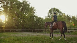 Magical Horseback Riding On a 스톡 동영상 비디오(100% 로열티 프리) 1038675740 | Shutterstock