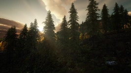 Sunlight in Forest in Mountains, 스톡 동영상 비디오(100% 로열티 프리) 1039832672 | Shutterstock