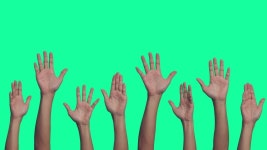 Answer arm digital assets for download | Creative Market