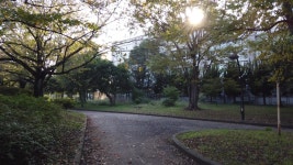 Sarue Onshi Park in Japan 스톡 동영상 비디오(100% 로열티 프리) 1040239709 | Shutterstock