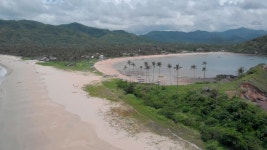 Tropical Nacpan Beach with Palms 스톡 동영상 비디오(100% 로열티 프리) 1042895020 | Shutterstock