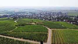 Gris digital assets for download | Creative Market