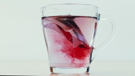 In a Glass Cup with 스톡 동영상 비디오(100% 로열티 프리) 1044939973 | Shutterstock