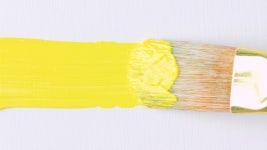 Close-up of Artist Holding Paint Stock Footage Video (100% Royalty-free) 1049502079 | Shutterstock