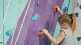 Climb kids 스톡 비디오 동영상 - 4K/HD 비디오 클립 | Shutterstock