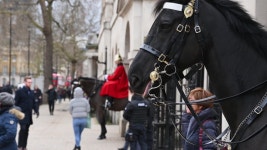 2020-03-0536 | London - February 03, 2020: 스톡 동영상 비디오(100% 로열티 프리) 1051202644 | Shutterstock