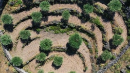 Traditional Stone Agricultural Terraces in 스톡 동영상 비디오(100% 로열티 프리) 1051885105 | Shutterstock