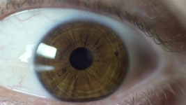 Brown Eye Opening On Macro 스톡 동영상 비디오(100% 로열티 프리) 1052753504 | Shutterstock