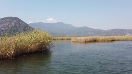 Turkey Dalyan Kaunos Boat Trip 스톡 동영상 비디오(100% 로열티 프리) 1053000980 | Shutterstock
