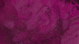 Pink and Violet Paint That 스톡 동영상 비디오(100% 로열티 프리) 1053226115 | Shutterstock