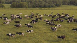 Taken from a Drone, as Stock Footage Video (100% Royalty-free) 1054356878 | Shutterstock