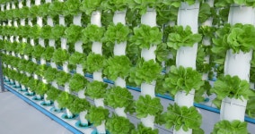 7,468 유기농 관리 스톡 비디오 동영상 - 4K/HD 비디오 클립 | Shutterstock