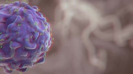 Biochemical and Histochemical Effects of 스톡 동영상 비디오(100% 로열티 프리) 1056301202 | Shutterstock