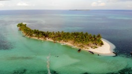 Download taw digital assets | Creative Market