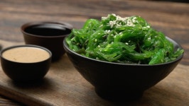 Download ogonori digital assets | Creative Market