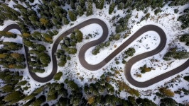 Windy Road in the Forest 스톡 동영상 비디오(100% 로열티 프리) 1061768431 | Shutterstock
