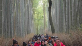 Kyoto Japan - 01 03 스톡 동영상 비디오(100% 로열티 프리) 1062153589 | Shutterstock