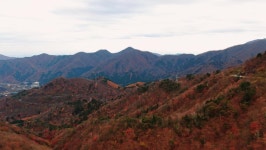 단풍길 스톡 비디오 동영상 - 4K/HD 비디오 클립 | Shutterstock