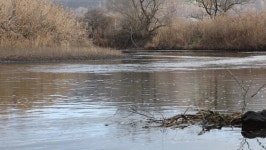 The Werra River Between Thuringia 스톡 동영상 비디오(100% 로열티 프리) 1064356273 | Shutterstock