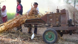 03 January 2021- Mahroli, Jaipur, 스톡 동영상 비디오(100% 로열티 프리) 1065177844 | Shutterstock