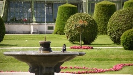 01 June 2019 Vienna, Austria 스톡 동영상 비디오(100% 로열티 프리) 1065256843 | Shutterstock