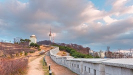 710 남산공원 스톡 비디오 동영상 - 4K/HD 비디오 클립 | Shutterstock