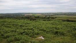 Download cymru digital assets | Creative Market