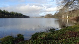 Loch Ken, a Scottish Lake, 스톡 동영상 비디오(100% 로열티 프리) 1066978396 | Shutterstock