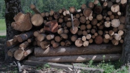 The lumber industry in America in 1920. Industrial Videos The lumber industry in America in 1920.