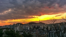 2,426 서울 남산 스톡 비디오 동영상 - 4K/HD 비디오 클립 | Shutterstock