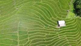View of Rice Terraces, View 스톡 동영상 비디오(100% 로열티 프리) 1072437026 | Shutterstock
