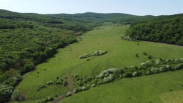 Pasture Between Two Forests up 스톡 동영상 비디오(100% 로열티 프리) 1073100914 | Shutterstock