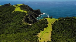 산책 숲 스톡 비디오 동영상 - 4K/HD 비디오 클립 | Shutterstock