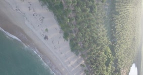 Northeast Brazil Tropical Beach Palm 스톡 동영상 비디오(100% 로열티 프리) 1074985283 | Shutterstock