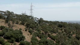 Forest Mountain Revealed Adelaide Downtown 스톡 동영상 비디오(100% 로열티 프리) 1075451750 | Shutterstock