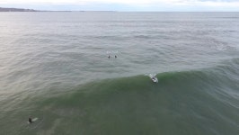 Radical 스톡 비디오 동영상 - 4K/HD 비디오 클립 | Shutterstock