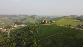 La Volta Castle and Vineyards 스톡 동영상 비디오(100% 로열티 프리) 1076145470 | Shutterstock