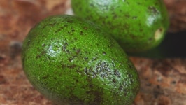 A Chef Cooks Avocado. Preparation 스톡 동영상 비디오(100% 로열티 프리) 1076763713 | Shutterstock