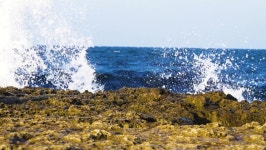 Vagabunda digital assets for download | Creative Market