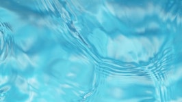 Water Drop Stock Video Footage for Free Download