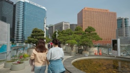 한국 산책 스톡 비디오 동영상 - 4K/HD 비디오 클립 | Shutterstock