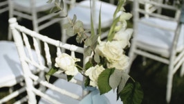 41,280 웨딩정원 스톡 비디오 동영상 - 4K/HD 비디오 클립 | Shutterstock