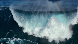 Summer Break Stock Video Footage for Free Download