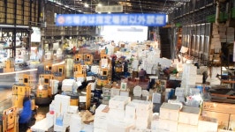 Tokyo, Japan -february 26th, 2015: 스톡 동영상 비디오(100% 로열티 프리) 11105747 | Shutterstock