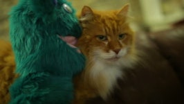 Original Puppet with a Cat, 스톡 동영상 비디오(100% 로열티 프리) 13621367 | Shutterstock