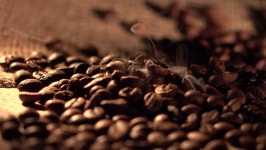 Coffee Beans with Star Anise 스톡 동영상 비디오(100% 로열티 프리) 14810998 | Shutterstock